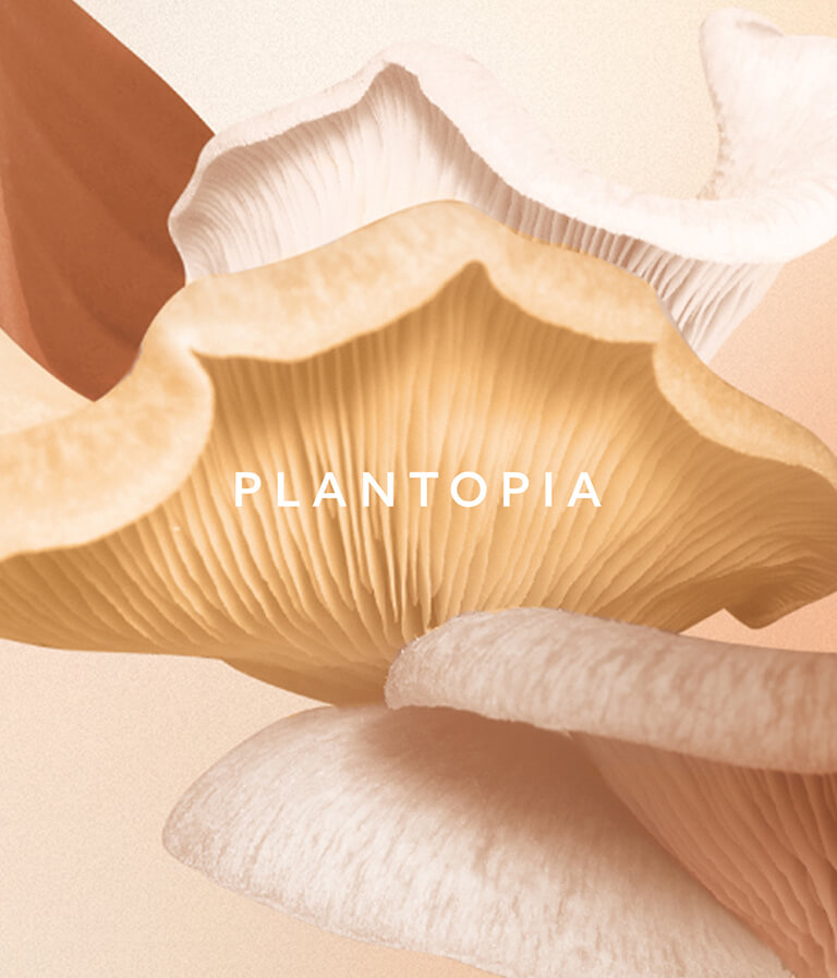 Together Design Plantopia